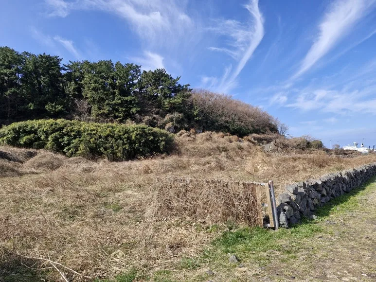 20260213_112134.jpg?type=w773