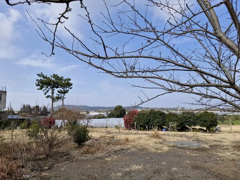 20260117_145958.jpg?type=w773