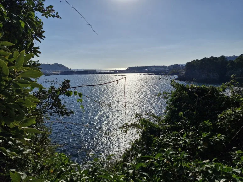 20251115_145917.jpg?type=w773