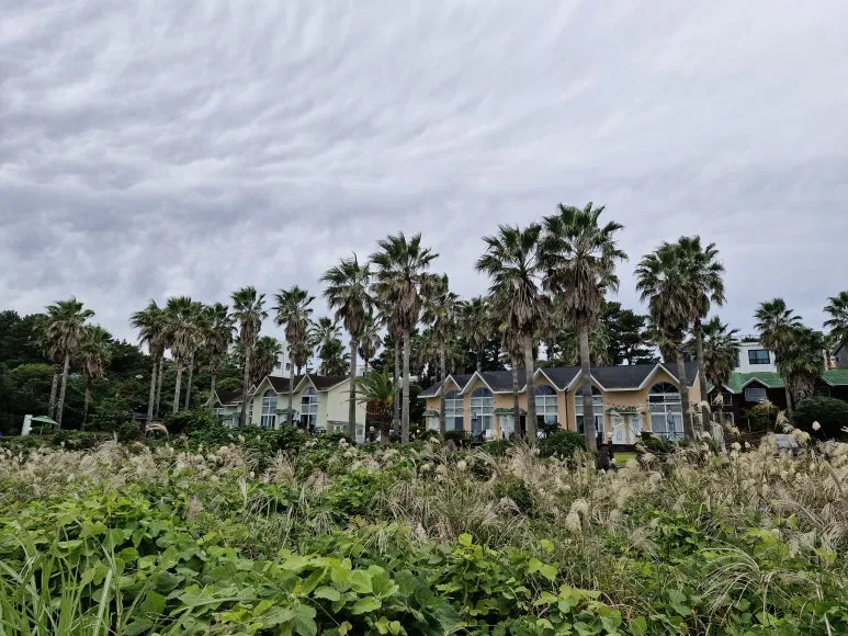 20251112_114747.jpg?type=w773