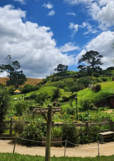 900%EF%BC%BF1738316918376.jpg?type=w386