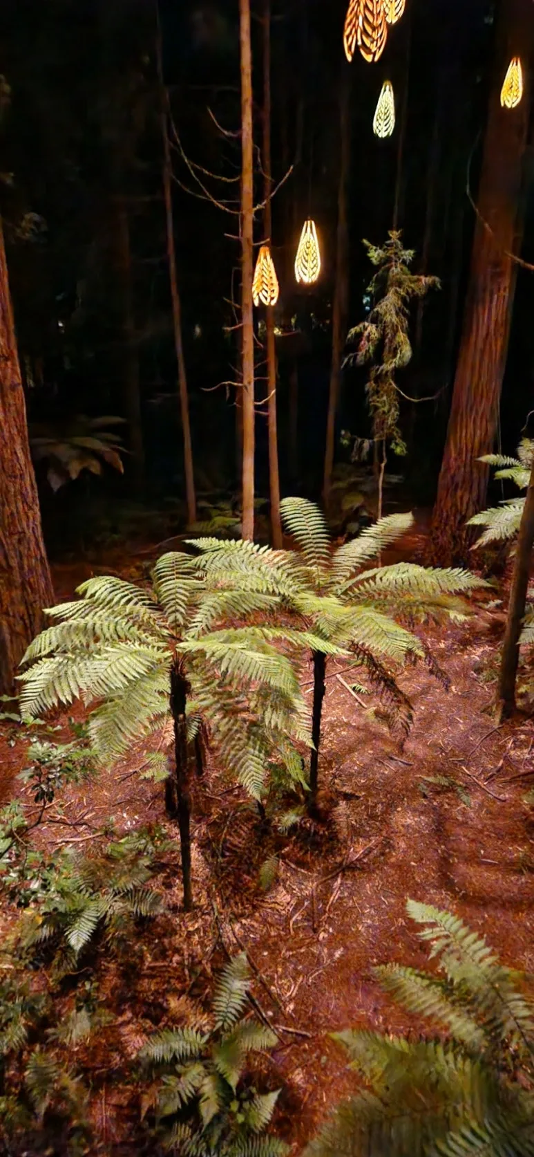 900%EF%BC%BF20250128%EF%BC%BF220810.jpg?type=w773