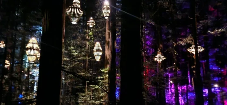 900%EF%BC%BF20250128%EF%BC%BF214824.jpg?type=w773