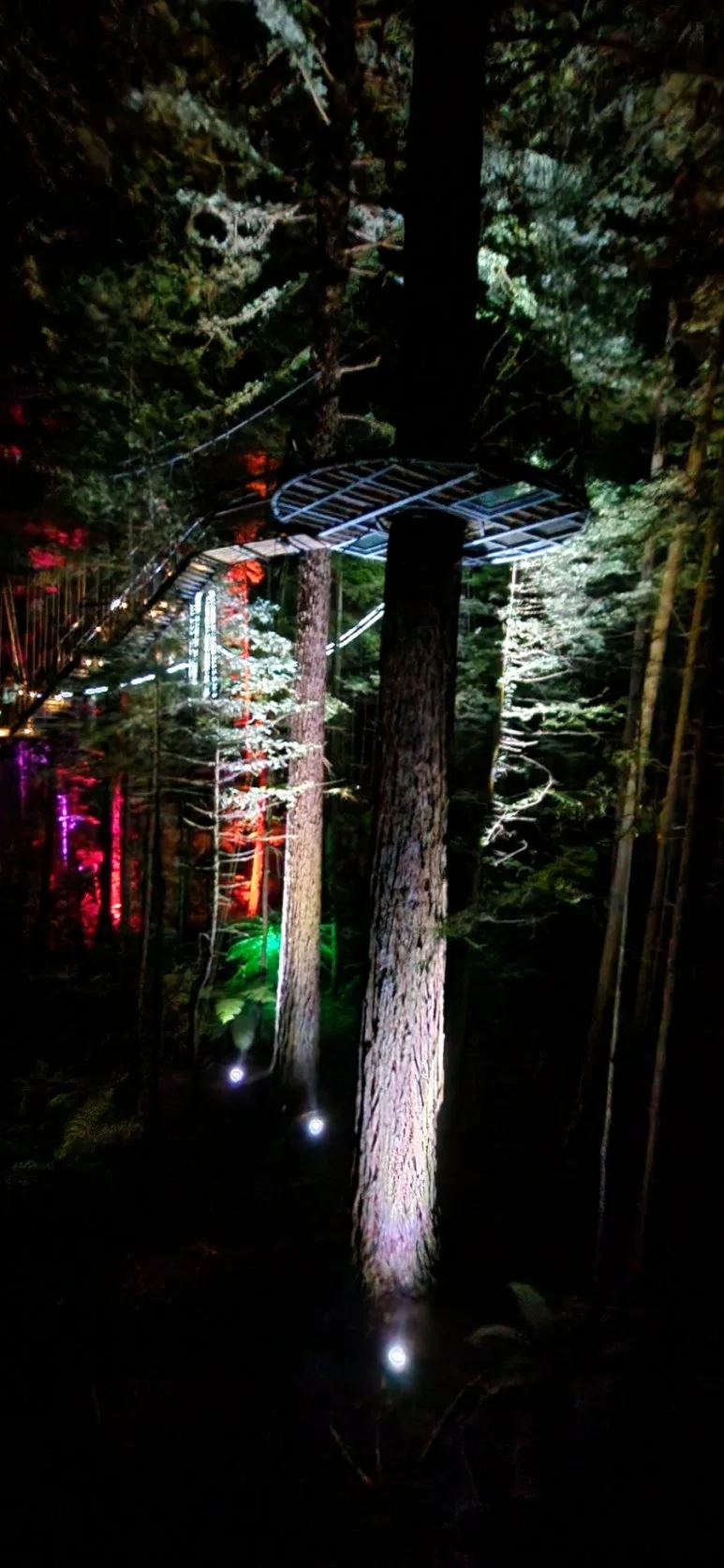 900%EF%BC%BF20250128%EF%BC%BF215500.jpg?type=w773