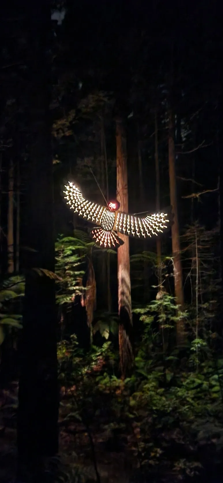 900%EF%BC%BF20250128%EF%BC%BF215022.jpg?type=w773