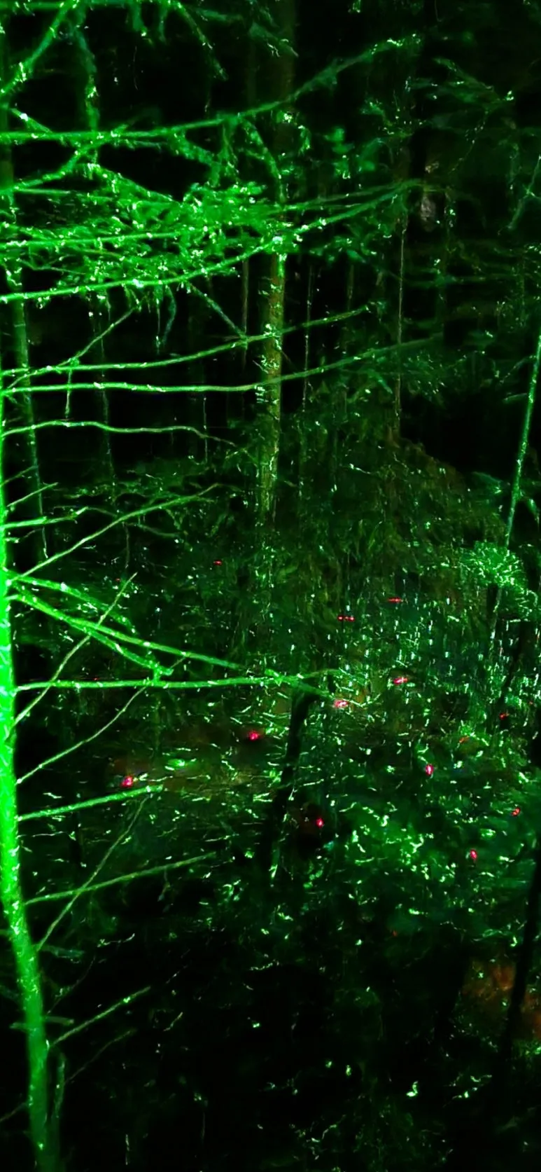 900%EF%BC%BF20250128%EF%BC%BF214512.jpg?type=w773