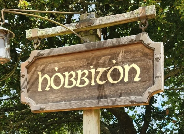 900%EF%BC%BF1738316698363.jpg?type=w773