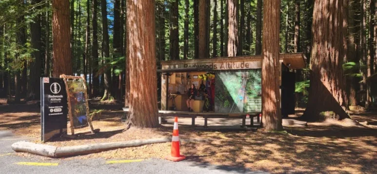 900%EF%BC%BF20250128%EF%BC%BF103043.jpg?type=w773