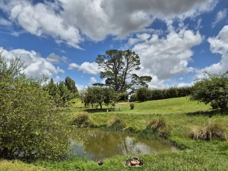 900%EF%BC%BF1738144391755%EF%BC%8D4.jpg?type=w773