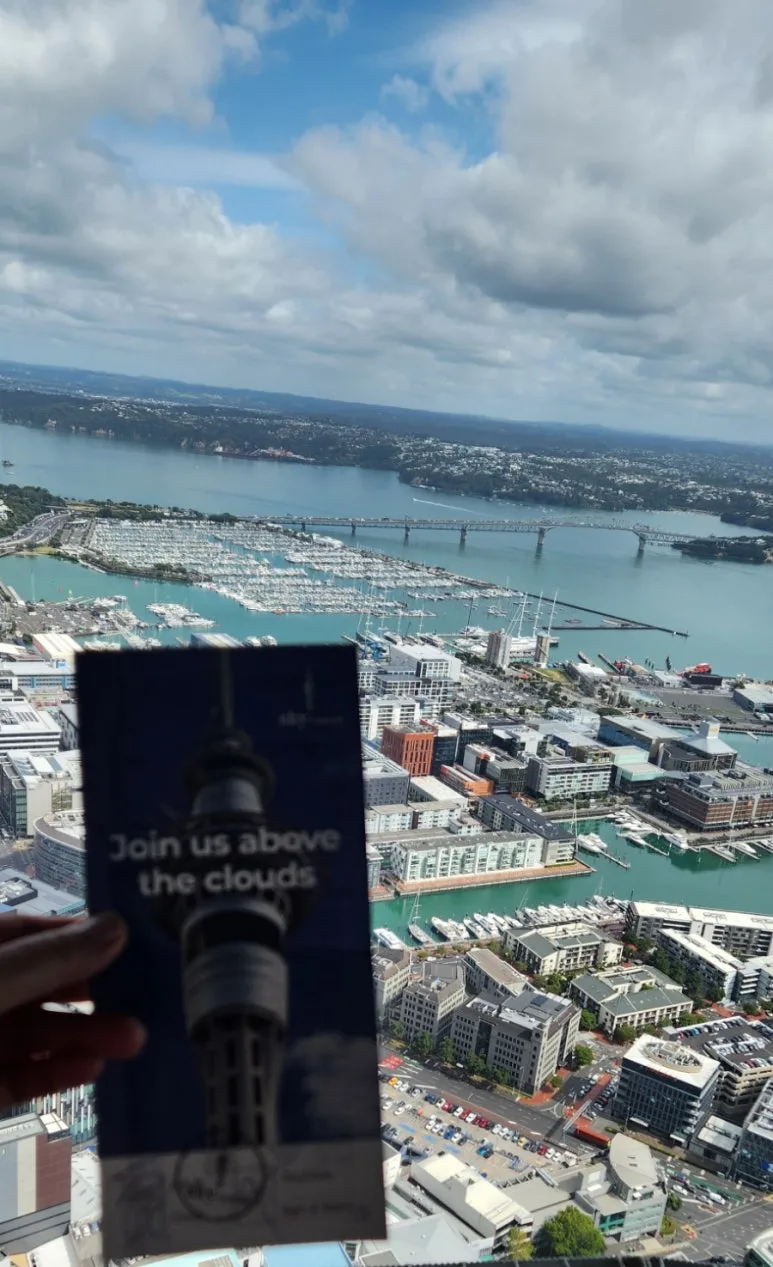 900%EF%BC%BF1738321058615.jpg?type=w773