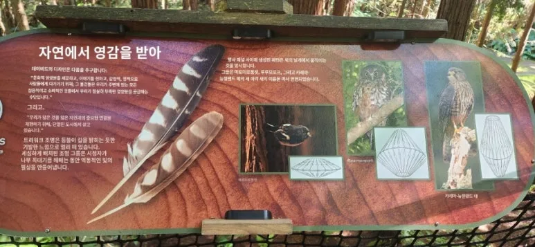 900%EF%BC%BFpapago%EF%BC%BF1738041326994.jpg?type=w773