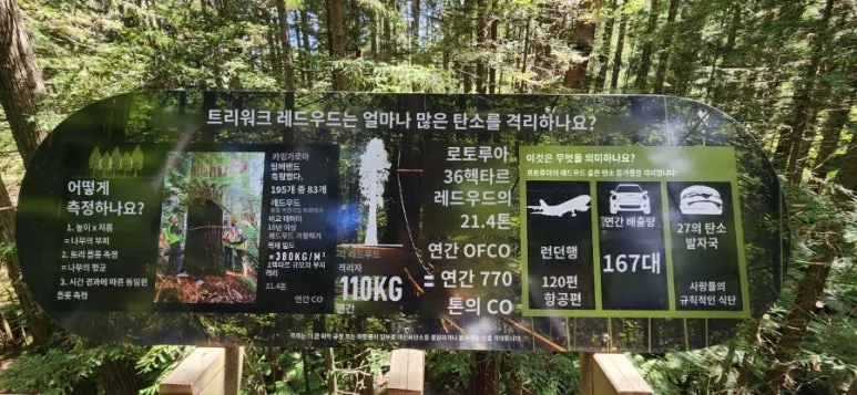 900%EF%BC%BFpapago%EF%BC%BF1738040553673.jpg?type=w773