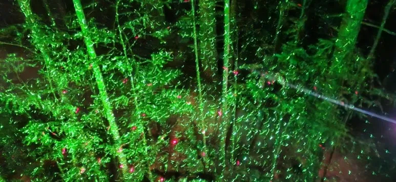 900%EF%BC%BF20250128%EF%BC%BF214218.jpg?type=w773