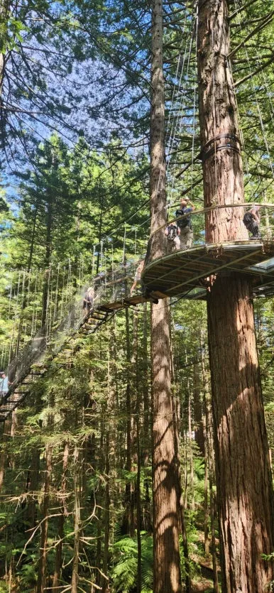 900%EF%BC%BF1738141844017%EF%BC%8D5.jpg?type=w386