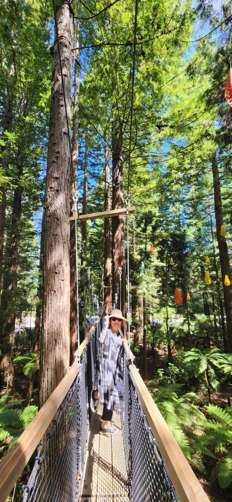 900%EF%BC%BF20250128%EF%BC%BF113448.jpg?type=w773