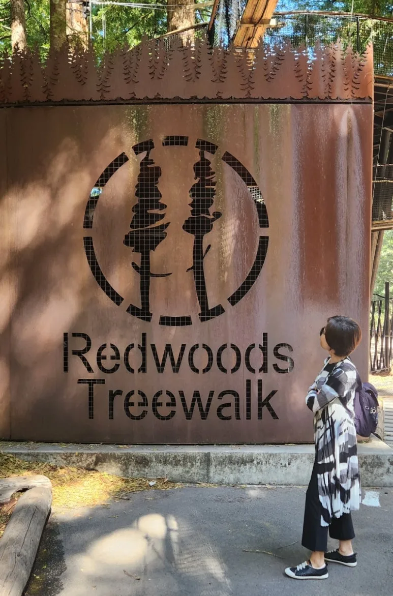 900%EF%BC%BF1738207514059.jpg?type=w773