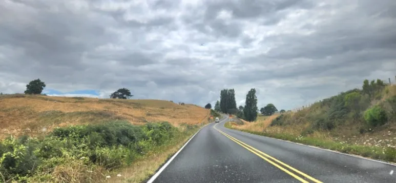 900%EF%BC%BF20250129%EF%BC%BF124821.jpg?type=w773