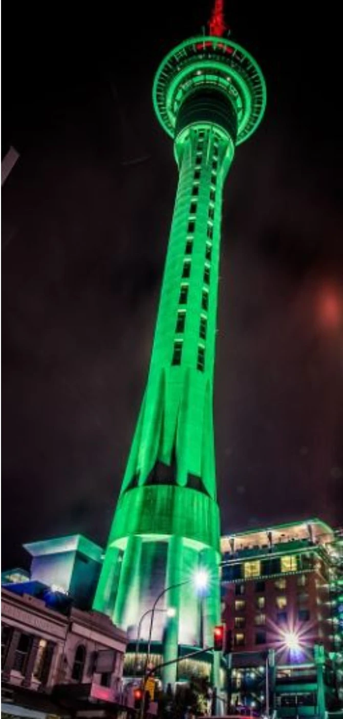 1738321231496.jpg?type=w773