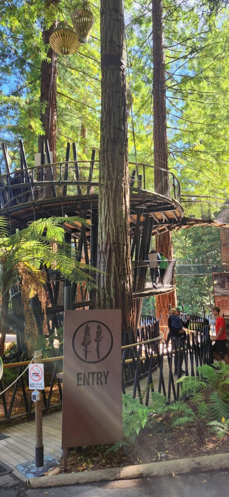 900%EF%BC%BF1738141844017%EF%BC%8D20.jpg?type=w773