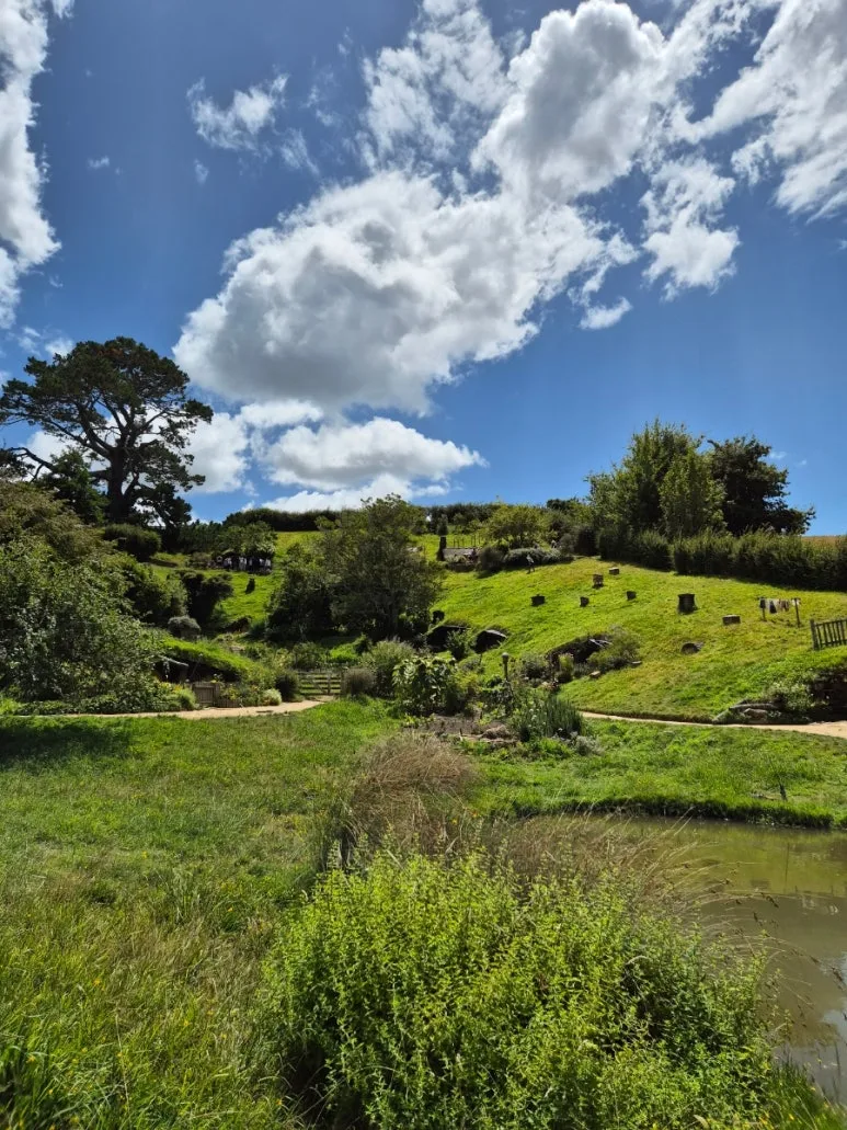 900%EF%BC%BF1738144391755%EF%BC%8D11.jpg?type=w773