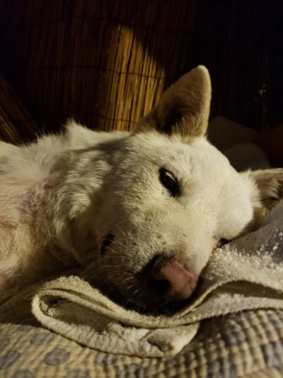 KakaoTalk_20180829_154245775.jpg?type=w580