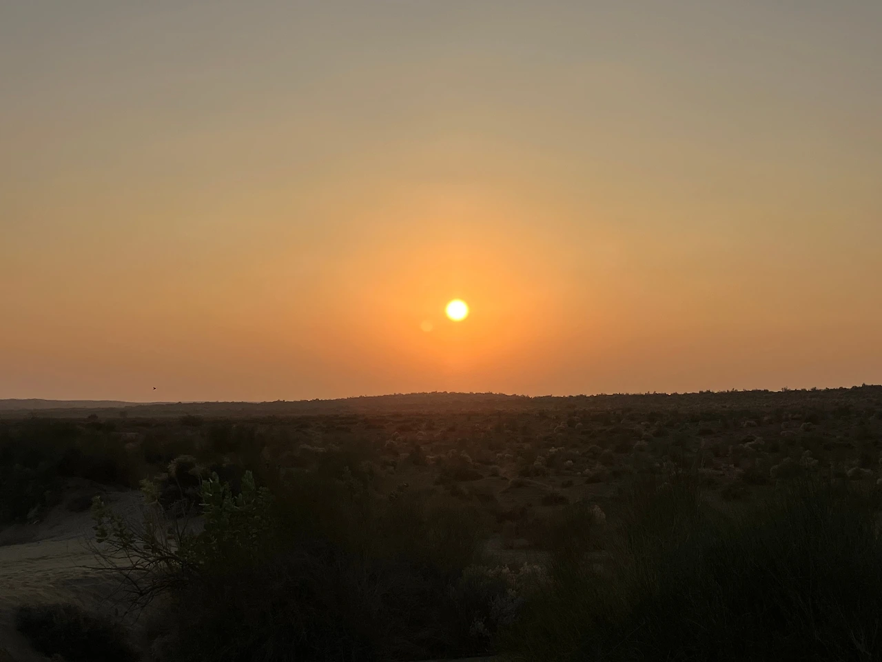 KakaoTalk_Photo_2026-03-01-08-54-45 002.jpeg