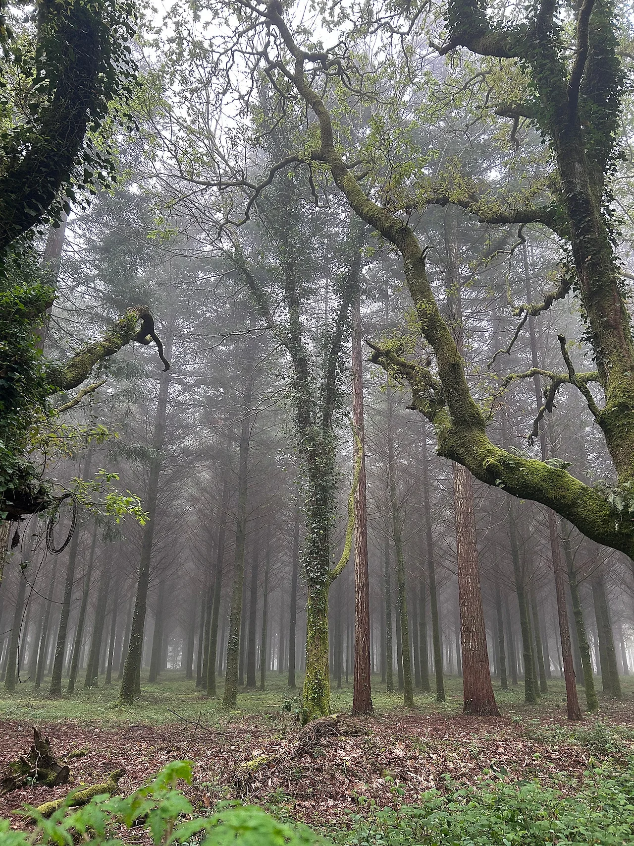 IMG%EF%BC%BF7365.jpg?type=w1600