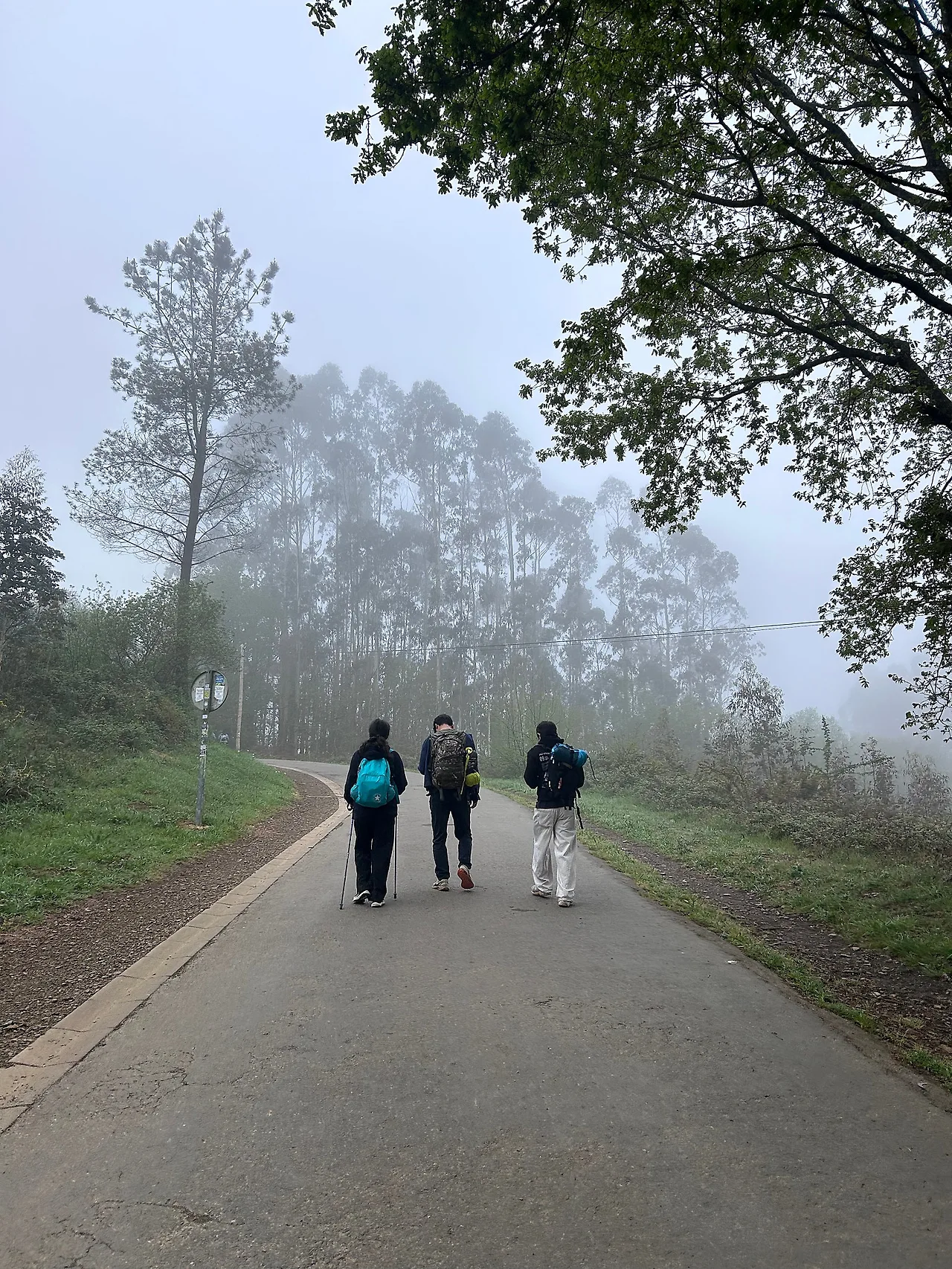 IMG%EF%BC%BF7349.jpg?type=w1600