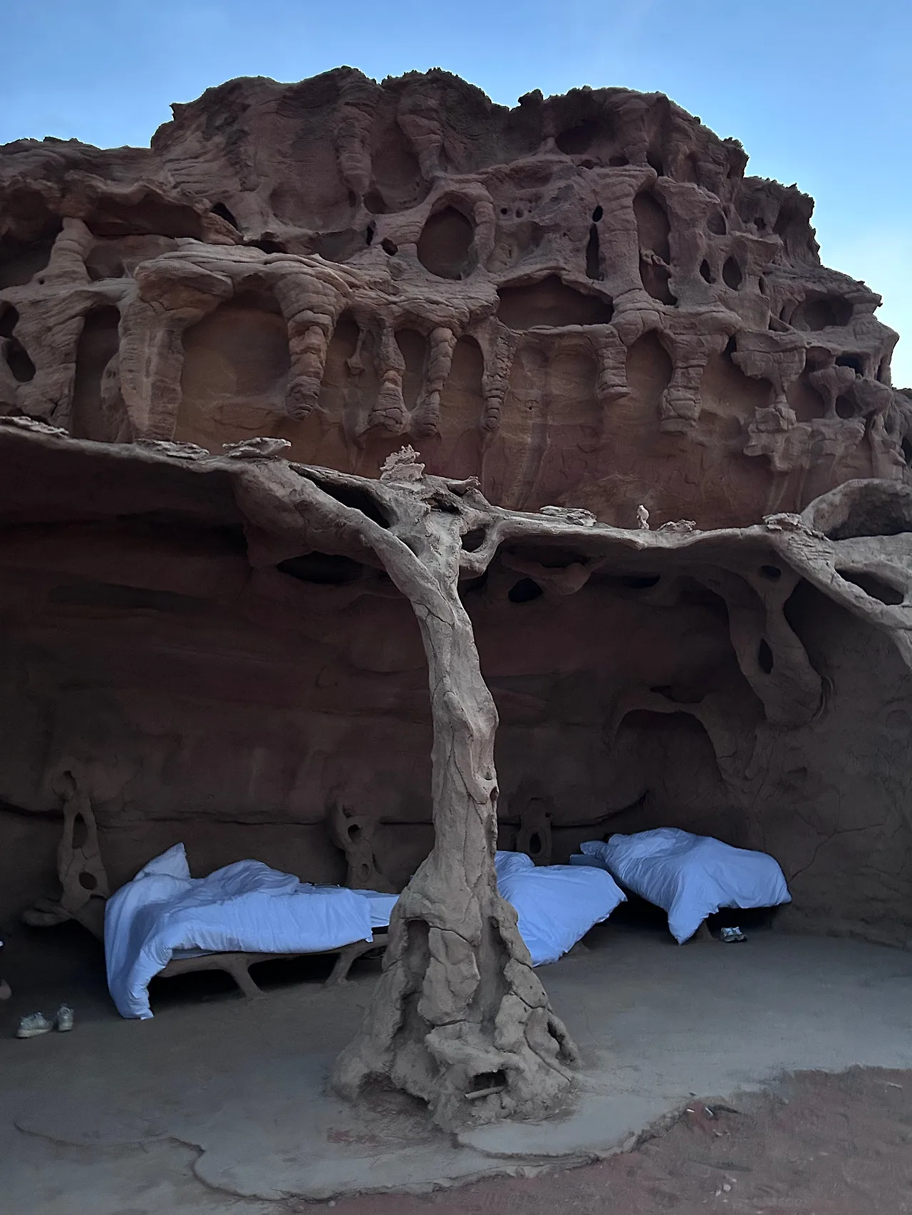 IMG%EF%BC%BF5289.jpg?type=w1600