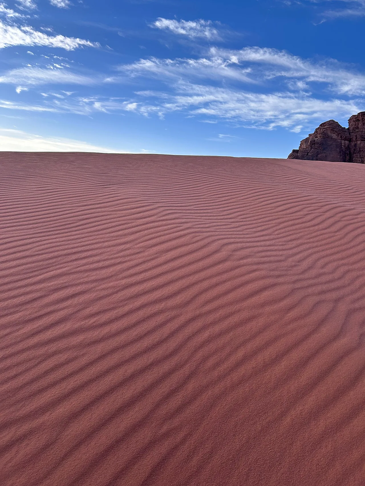 IMG%EF%BC%BF5158.jpg?type=w1600