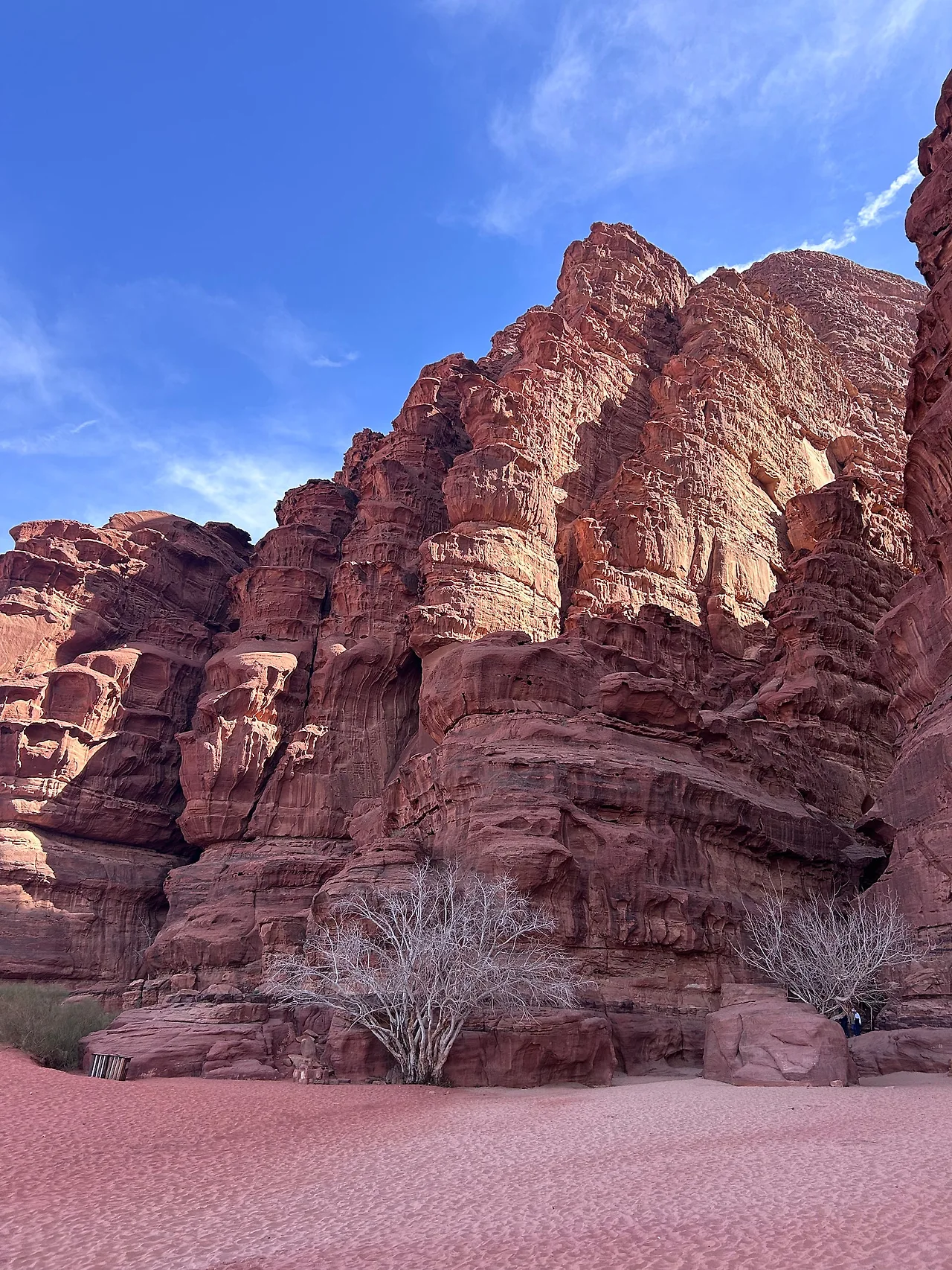 IMG%EF%BC%BF4880.jpg?type=w1600