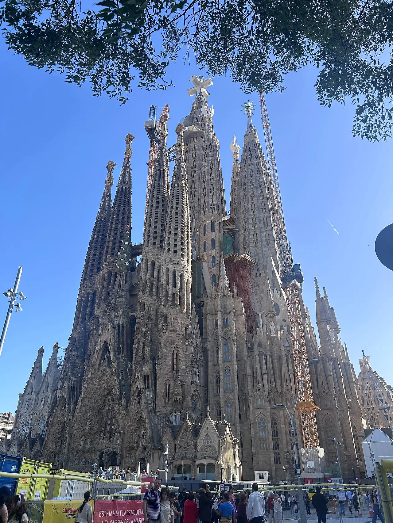 IMG%EF%BC%BF7507.jpg?type=w1600