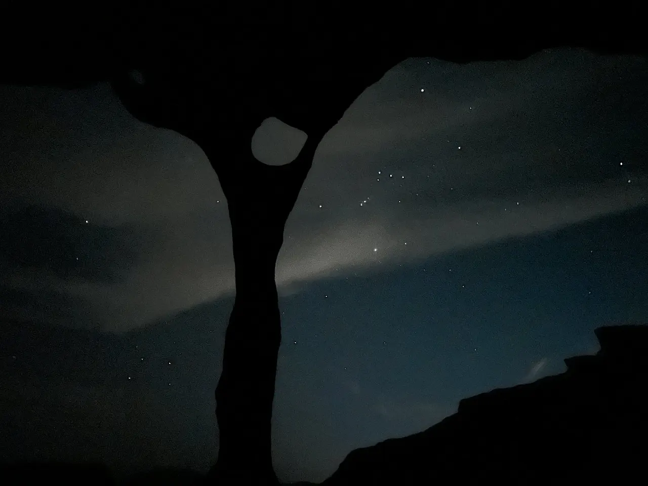 IMG%EF%BC%BF5281.jpg?type=w1600