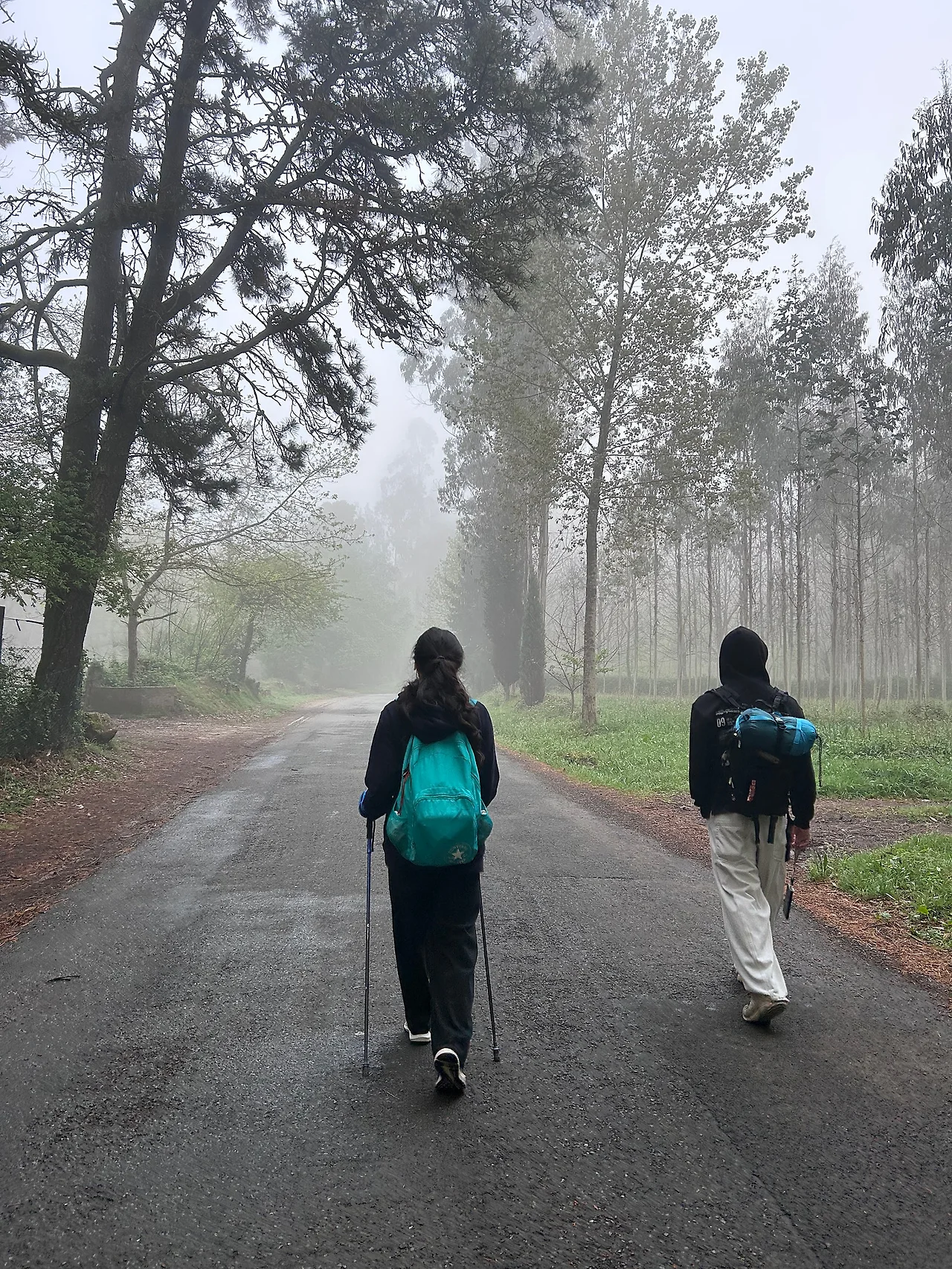 IMG%EF%BC%BF7367.jpg?type=w1600