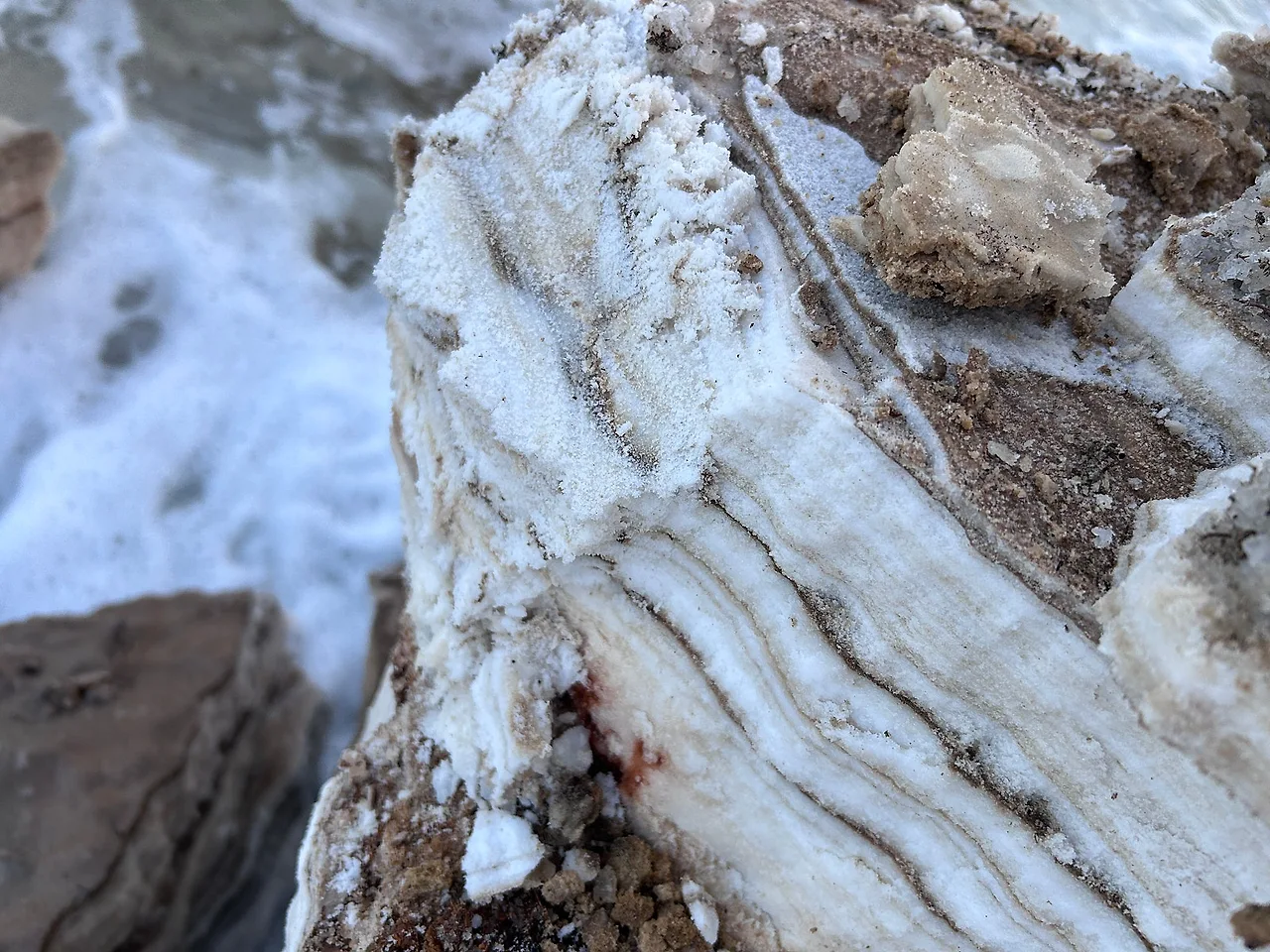 IMG%EF%BC%BF4793.jpg?type=w1600