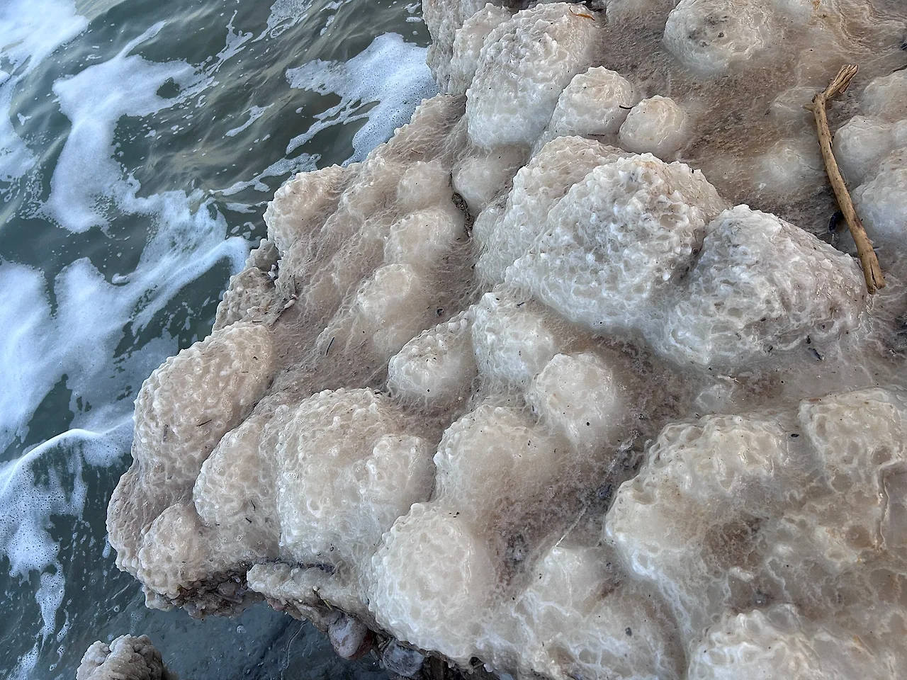 IMG%EF%BC%BF4794.jpg?type=w1600