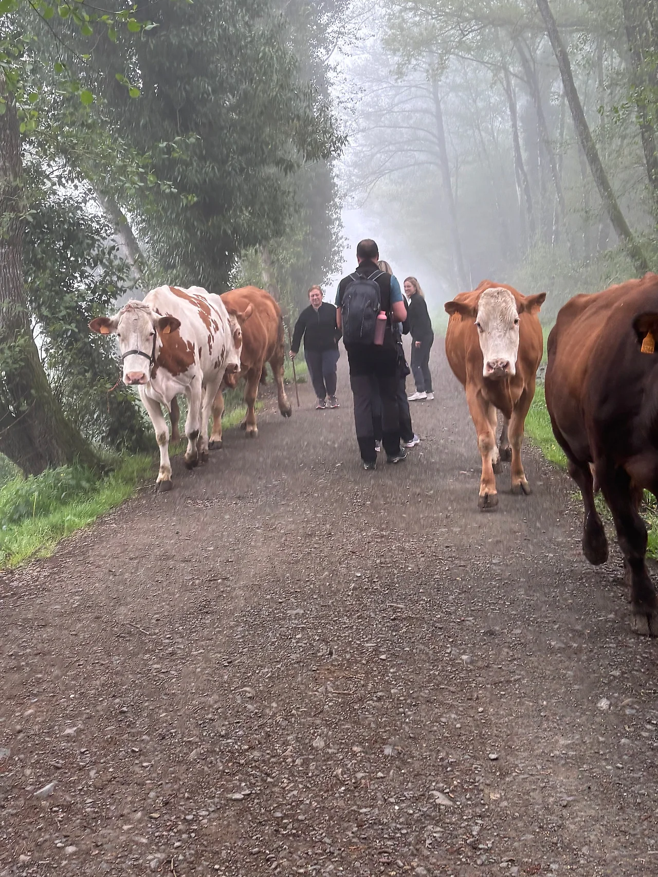 IMG%EF%BC%BF7327.JPG?type=w1600