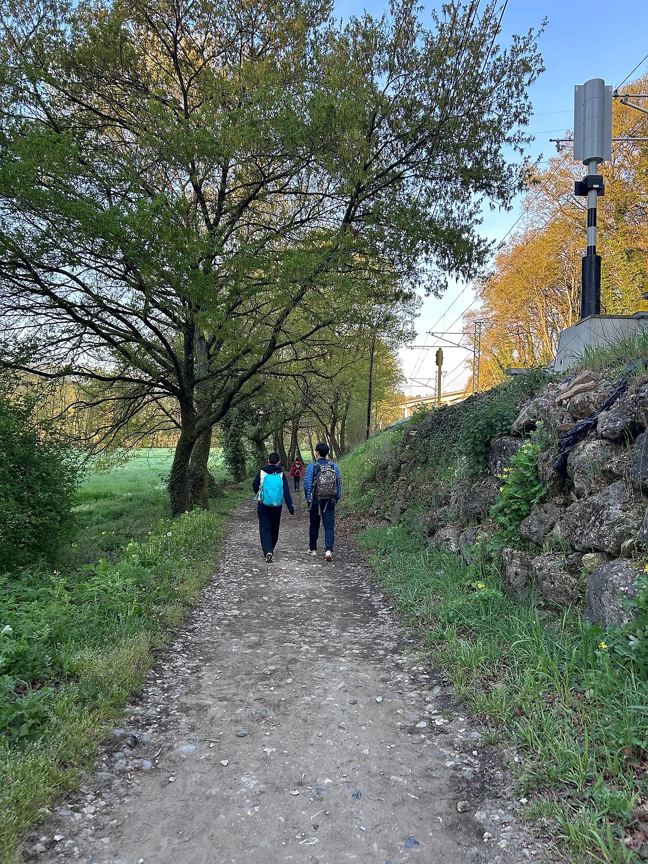 IMG%EF%BC%BF7031.jpg?type=w1600