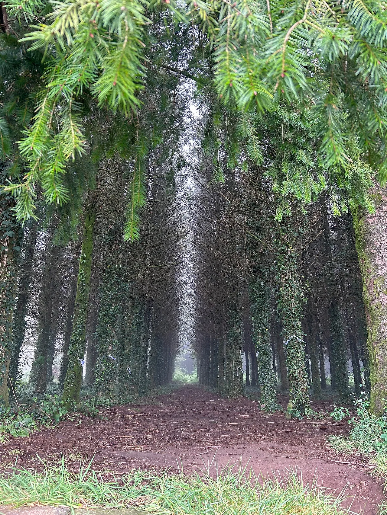 IMG%EF%BC%BF7302.jpg?type=w1600