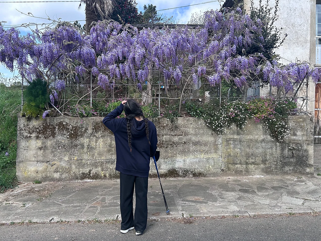 IMG%EF%BC%BF7251.jpg?type=w1600