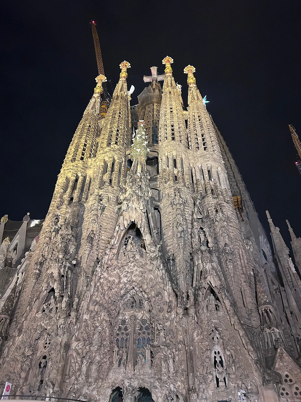 IMG%EF%BC%BF7749.jpg?type=w1600