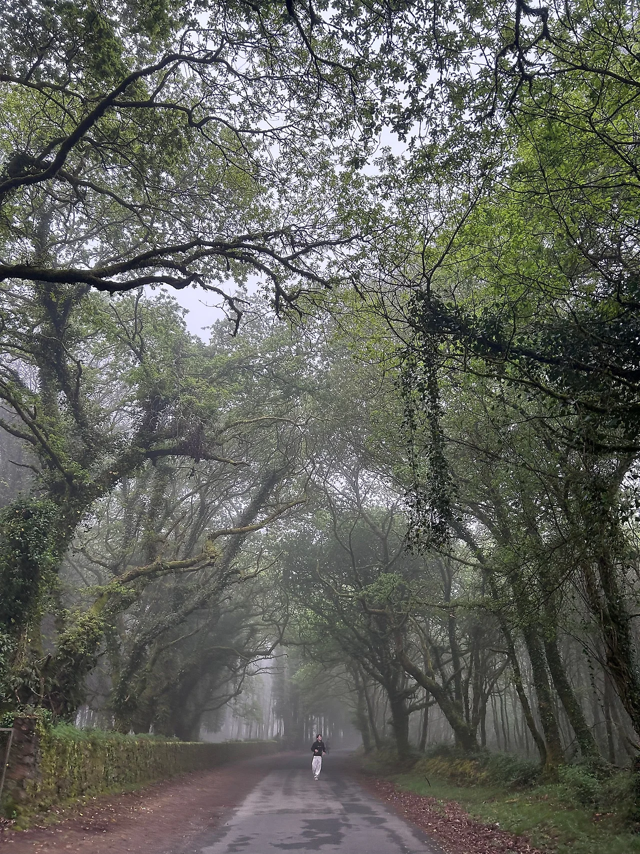 IMG%EF%BC%BF7359.jpg?type=w1600