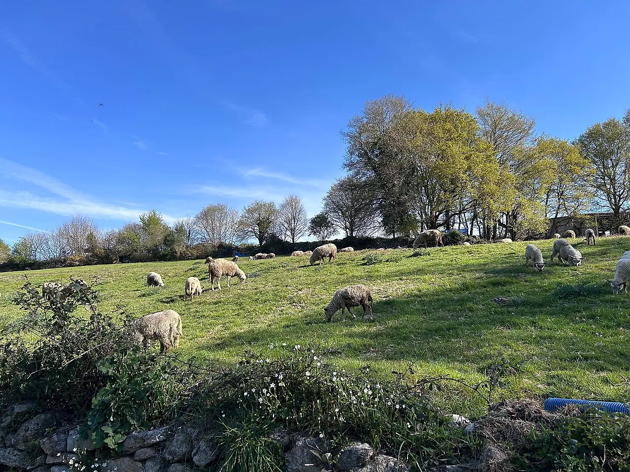 IMG%EF%BC%BF7037.jpg?type=w1600