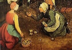 KakaoTalk_Photo_2026-02-13-21-08-05 002.jpeg