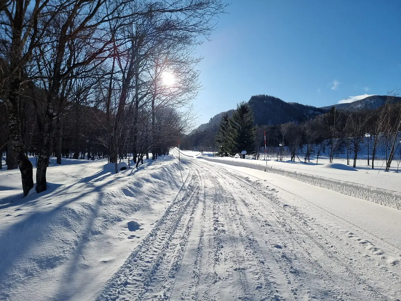 WhatsApp Image 2026-02-05 at 9.03.05 PM.jpeg