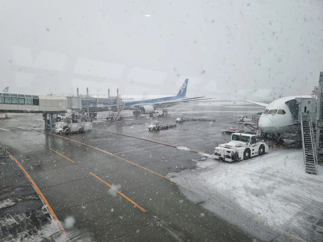 WhatsApp Image 2026-02-05 at 8.54.17 PM.jpeg