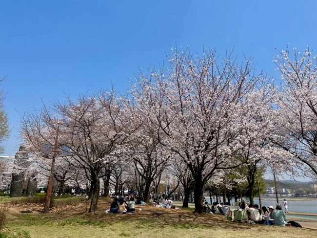 img.jpg?credential=yqXZFxpELC7KVnFOS48ylbz2pIh7yKj8&expires=1772290799&allow_ip=&allow_referer=&signature=%2F4TV6G8sJD1ti0IYuO2toW33dlk%3D