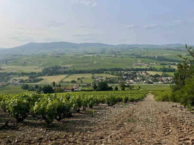 img.jpg?credential=yqXZFxpELC7KVnFOS48ylbz2pIh7yKj8&expires=1777561199&allow_ip=&allow_referer=&signature=EUaevwppBaqE0%2FORRP3DNBVfudo%3D