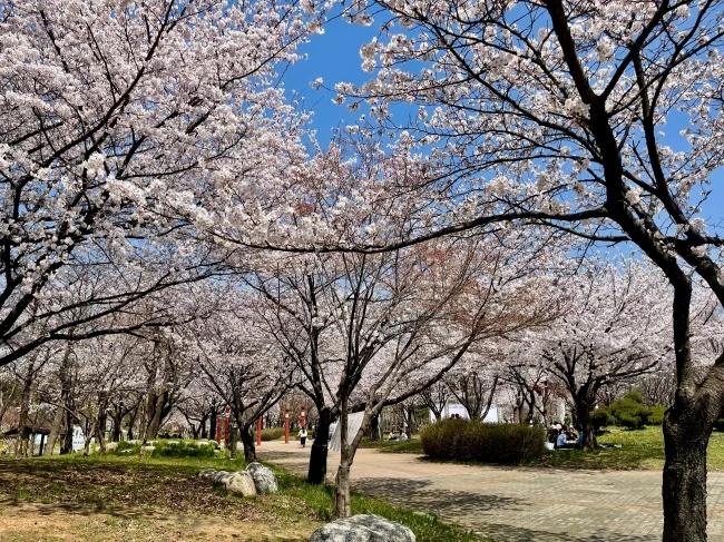 img.jpg?credential=yqXZFxpELC7KVnFOS48ylbz2pIh7yKj8&expires=1772290799&allow_ip=&allow_referer=&signature=V%2FhoAFvQnqs61Y9J6%2BnTox7dSkg%3D