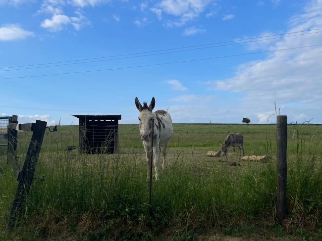 img.jpg?credential=yqXZFxpELC7KVnFOS48ylbz2pIh7yKj8&expires=1774969199&allow_ip=&allow_referer=&signature=8a5n3cJeXhp1CqOOTXnEN6G2eAE%3D